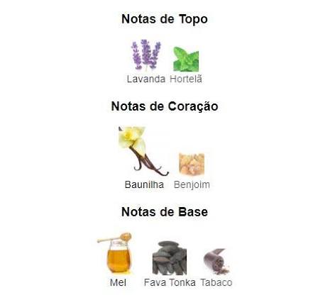 Pirâmide Olfativa (Perfume Inspirado)